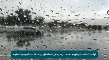 توقعات الأمطار اليوم الأحد.. رعدية في 4 مناطق بينها الإسكندرية والسلوم